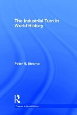 Industrial Turn in World History