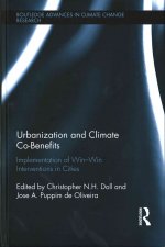 Urbanization and Climate Co-Benefits