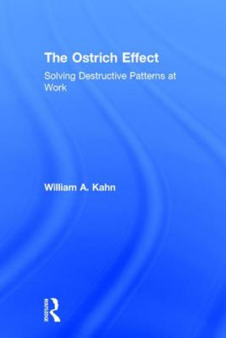 Ostrich Effect
