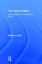 Ostrich Effect
