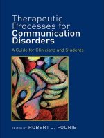 Therapeutic Processes for Communication Disorders