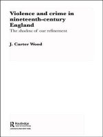 Violence and Crime in Nineteenth Century England