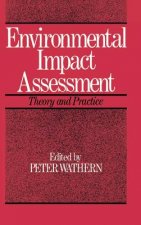 Environmental Impact Assessment