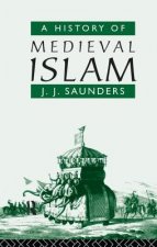 History of Medieval Islam