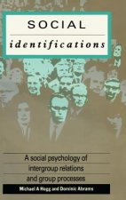 Social Identifications