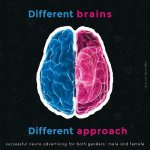 Different Brains, Different Approaches