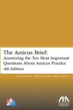 Amicus Brief
