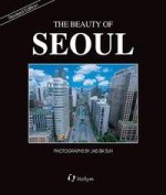 Beauty Of Seoul