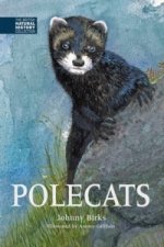 Polecats