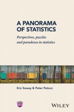 Panorama of Statistics - Perspectives, Puzzles and Paradoxes in Statistics