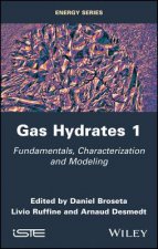 Gas Hydrates 1: Fundamentals, Characterization and  Modeling