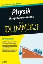 Aufgabensammlung Physik fur Dummies