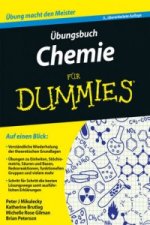 UEbungsbuch Chemie fur Dummies 3e