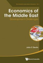 Economics Of The Middle East: Development Challenges