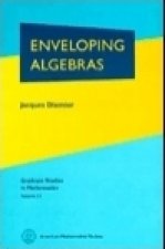 Enveloping Algebras