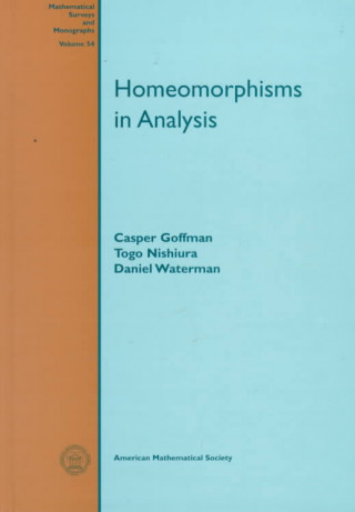 Homeomorphisms In Analysis
