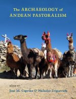 Archaeology of Andean Pastoralism
