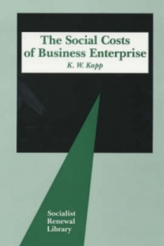Social Costs of Business Enterprise