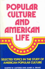 POPULAR CULTURE AND AMERICAN LIFE