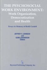 Psychosocial Work Environment