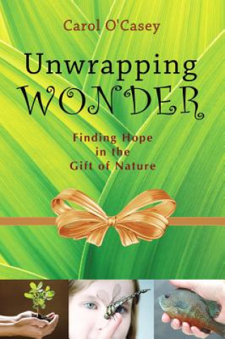 Unwrapping Wonder