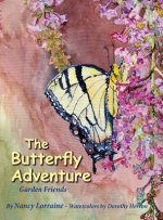 Butterfly Adventure