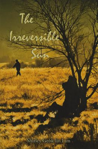 Irreversible Sun