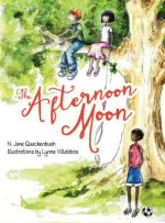 Afternoon Moon