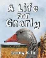 Life For Gnarly
