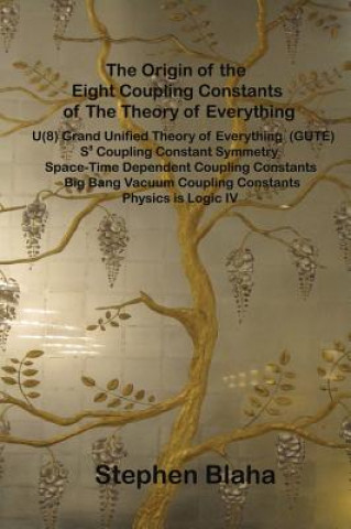 Origin of the Eight Coupling Constants of the Theory of Everything