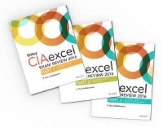 Wiley CIAexcel Exam Review 2016: Study Guides Set