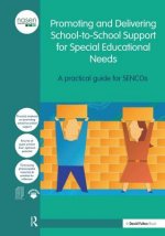 Promoting and Delivering School-to-School Support for Special Educational Needs