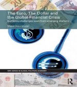 Euro, The Dollar and the Global Financial Crisis