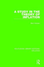 Study in the Theory of Inflation