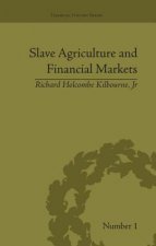 Slave Agriculture and Financial Markets in Antebellum America