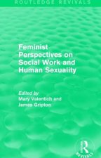 Feminist Perspectives on Social Work and Human Sexuality