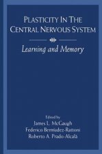 Plasticity in The Central Nervous System