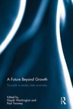Future Beyond Growth