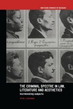Criminal Spectre in Law, Literature and Aesthetics