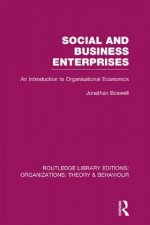 Social and Business Enterprises (RLE: Organizations)