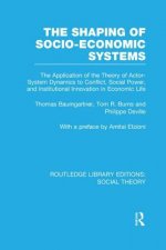 Shaping of Socio-Economic Systems (RLE Social Theory)