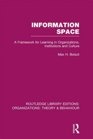 Information Space (RLE: Organizations)