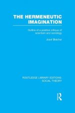 Hermeneutic Imagination (RLE Social Theory)