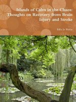 Islands of Calm in the Chaos: Thoughts on Recovery from Brain Injury and Stroke
