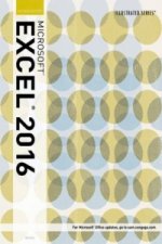 Illustrated Microsoft (R) Office 365 & Excel 2016