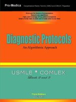 Diagnostic Protocols: an Algorithmic Approach