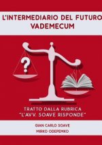 L'Intermediario Del Futuro. Vademecum.