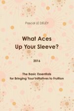 What Aces Up Your Sleeve? 2016: the Basic Essentials for Bringing Your Initiatives to Fruition