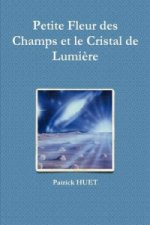 Petite Fleur Des Champs Et Le Cristal De Lumiere