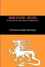 Bronze Aegis